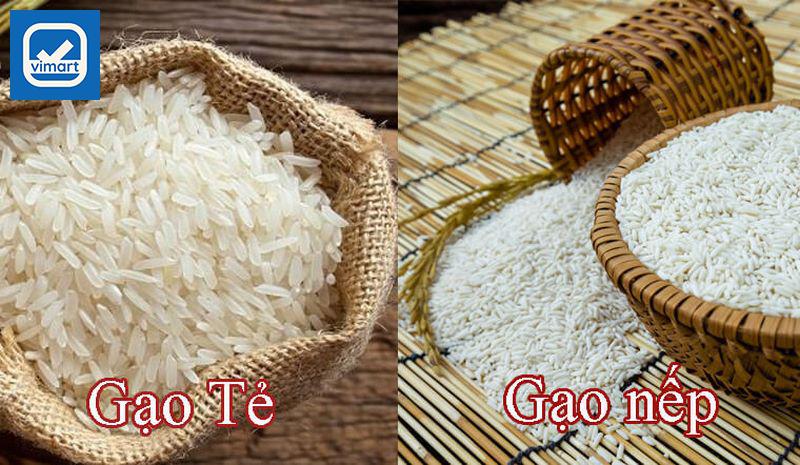 Đặc điểm chung của gạo nếp