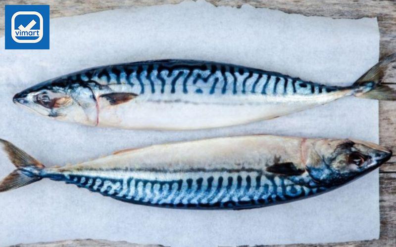 Kiểm tra độ đàn hồi của thịt cá thu là một cách chọn cá thu tươi ngon