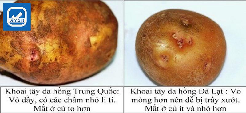Cách nhận biết khoai tây Trung Quốc qua hình dáng