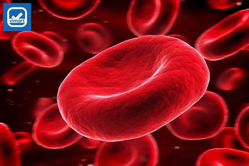 Hàm lượng chất sắt trong thanh long giúp tăng lượng hồng cầu trong máu